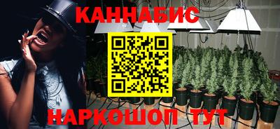 МДПВ Новокубанск
