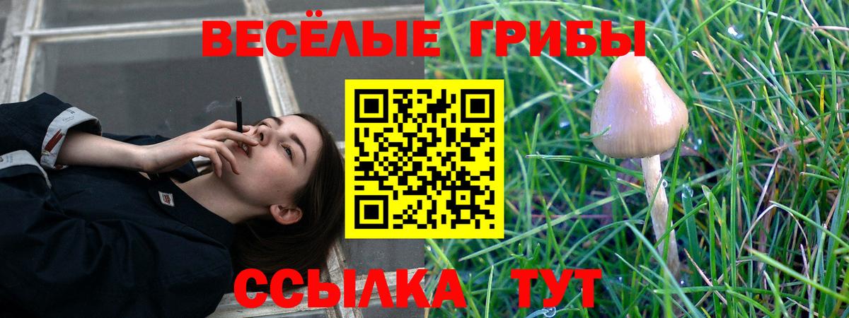 Углич  Галлюциногенные грибы GOLDEN TEACHER  Галлюциногенные грибы GOLDEN TEACHER  Вход с VPN 